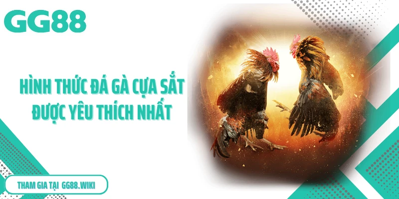 Các hình thức đá gà cựa sắt GG88 được yêu thích nhất
