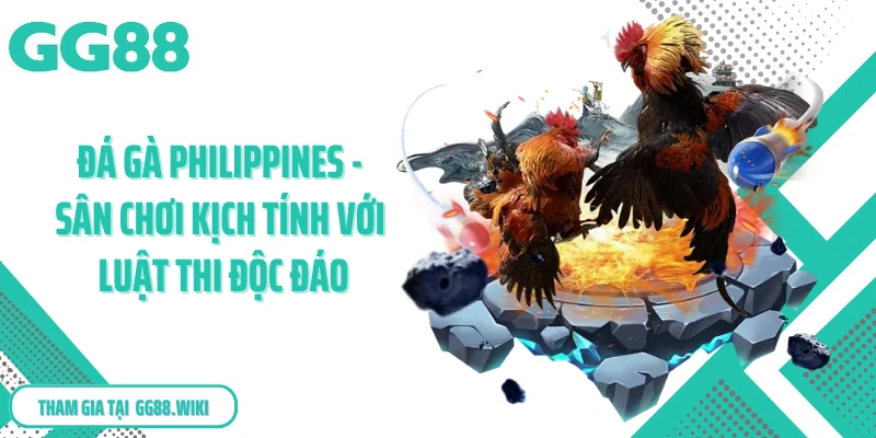 Đá Gà Philippines - Sân Chơi Kịch Tính Với Luật Thi Độc Đáo