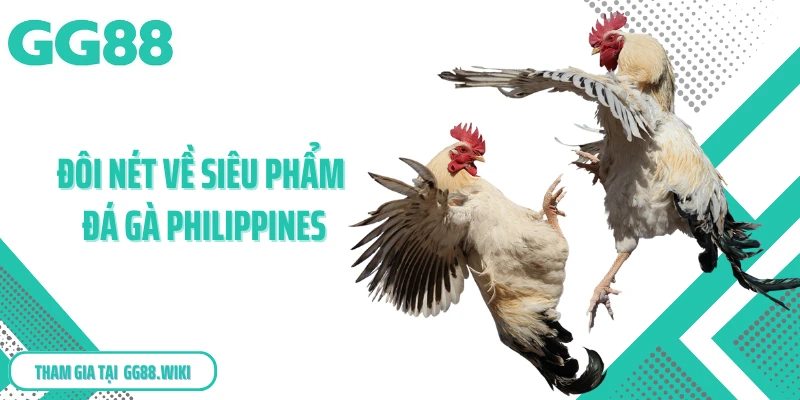 Đôi nét về siêu phẩm đá gà Philippines