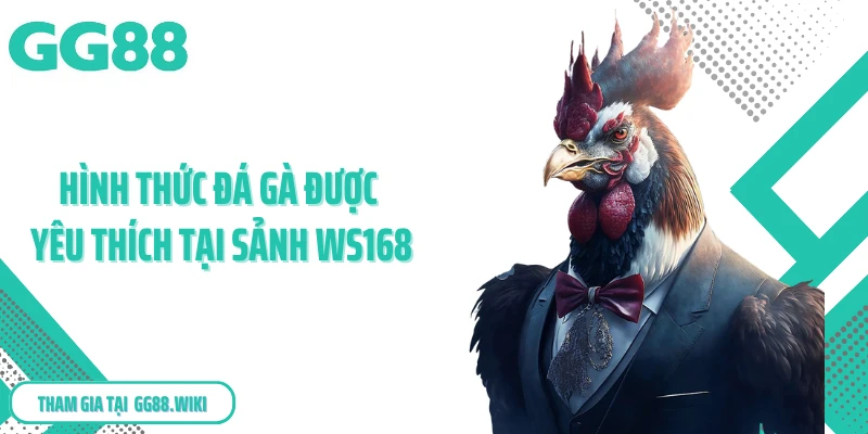 Những hình thức đá gà được yêu thích tại sảnh WS168