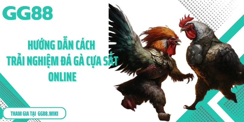 Hướng dẫn cách trải nghiệm đá gà cựa sắt online