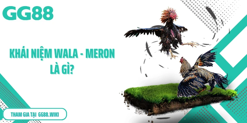 Khái niệm Wala - Meron là gì?