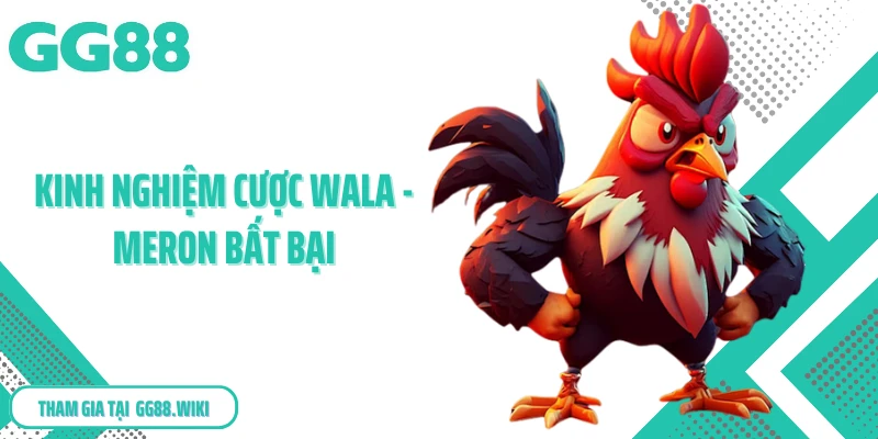 Kinh nghiệm cược Wala - Meron bất bại