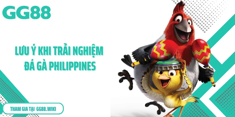 Lưu ý khi trải nghiệm đá gà Philippines