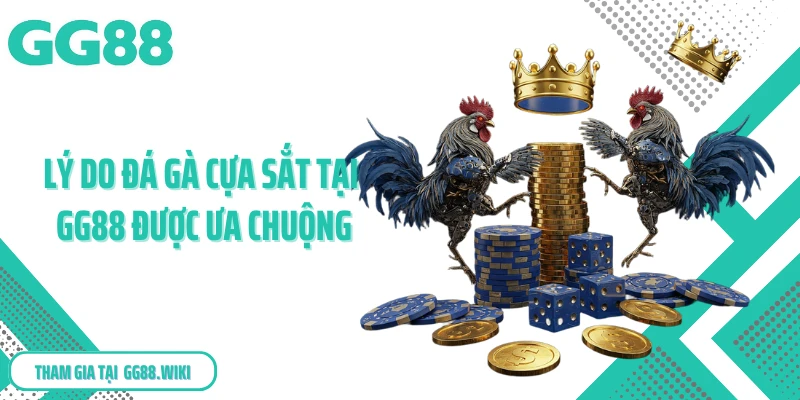Lý do đá gà cựa sắt tại GG88 được ưa chuộng