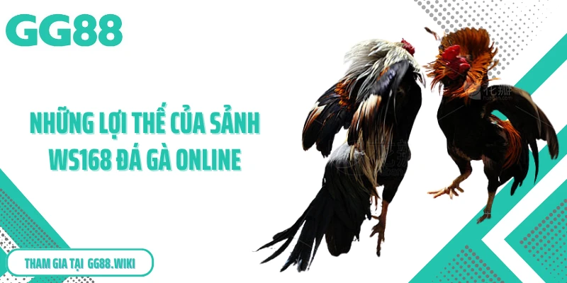 Những lợi thế của sảnh WS168 đá gà online