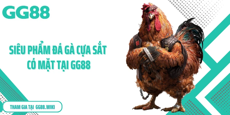 Siêu phẩm đá gà cựa sắt có mặt tại GG88